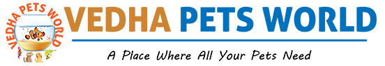 VEDHA PETS WORLD BLOG